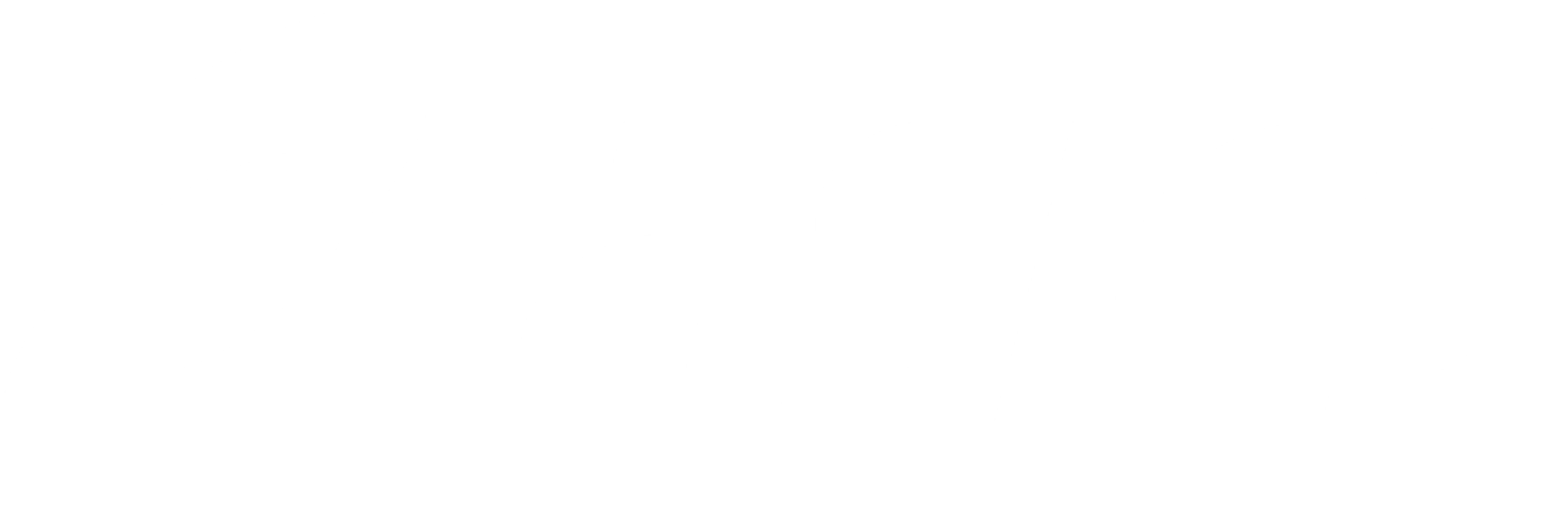 asics logo